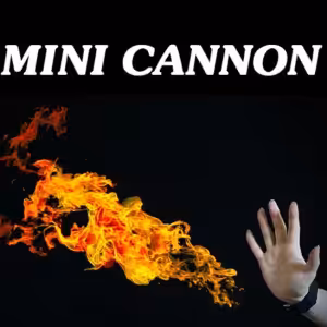 Mini Cannon (Remote Control)