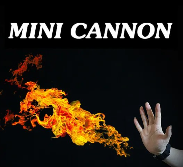 Mini Cannon (Remote Control)