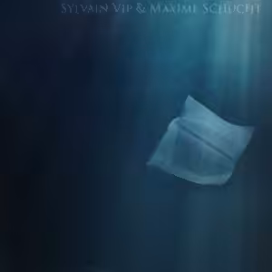 The Abyss by Maxime Schucht and Sylvain Vip (French)