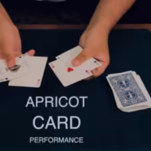 Apricot Card by Keito K
