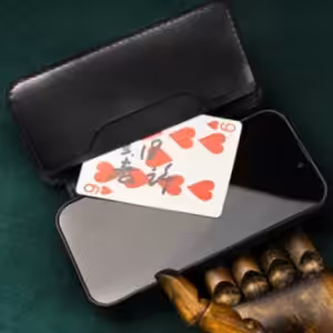 Daily Case by Joshua Kaufmann