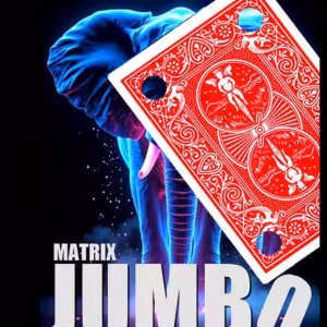 Matrix Revolution Jumbo by Mickael Chatelain