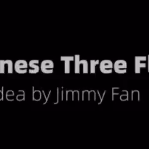 Chinese 3 Fly by Jimmy Fan & Artisan Coin